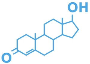 Hormonen